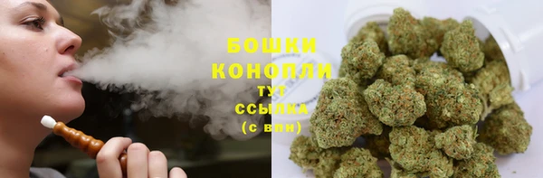 стафф Володарск
