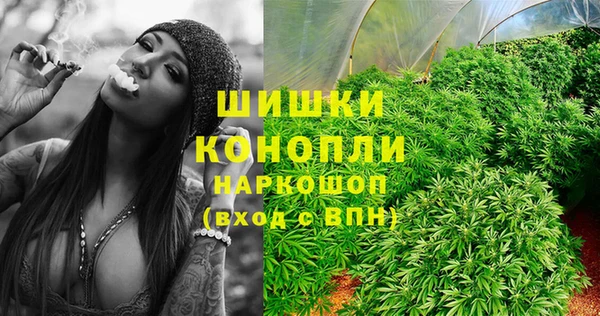 стафф Володарск