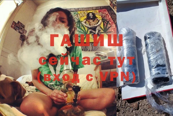 стафф Володарск