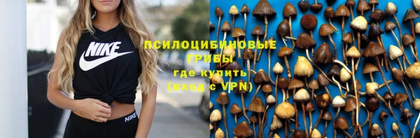 стафф Володарск