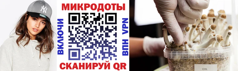 omg ссылки  Россошь  Псилоцибиновые грибы Psilocybine cubensis 